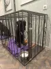 Клетка для средней собаки - Вся Беларусь - 255359 - Доска объявлений Kupika.by