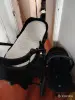 Продаю коляску TARGET Indigo трансформер 3в1 - Вся Беларусь - 254188 - Доска объявлений Kupika.by - Фото 7