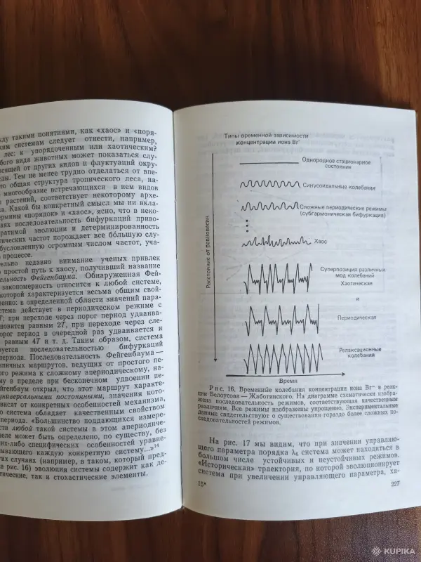 Книга. Порядок из Хаоса. - Вся Беларусь - 257611 - Доска объявлений Kupika.by - Фото 5