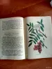 Лекарственные растения. Книга - Вся Беларусь - 254619 - Доска объявлений Kupika.by - Фото 3