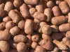 Цемент, керамзит, песок - Керамзит фракции 0-5, 5-10, 10-20 фасованный в мешках по 40 литров и 0,8 м3 - Вся Беларусь Керамзит фракции 0-5, 5-10, 10-20 фасованный в мешках по 40 литров и 0,8 м3 - Вся Беларусь - 254381 - Доска объявлений Kupika.by