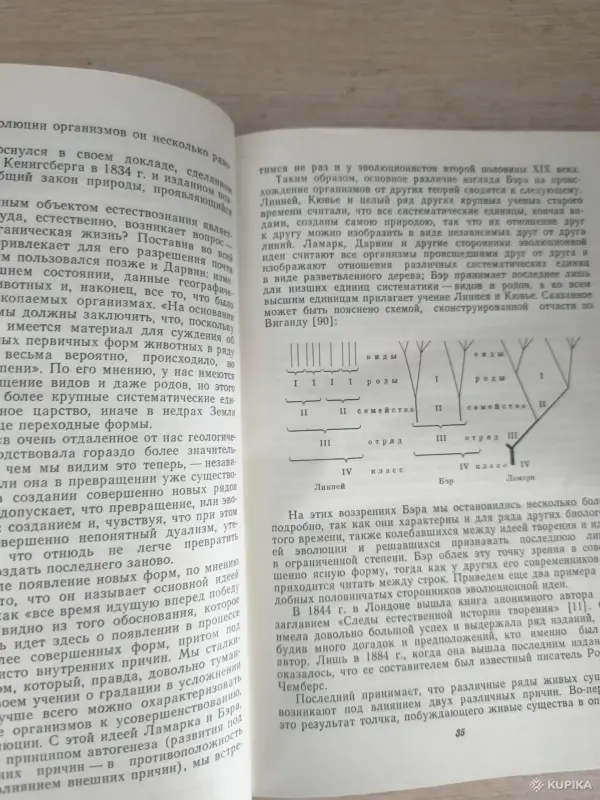 Книга. Эволюционная идея в Биологии. - Вся Беларусь - 256509 - Доска объявлений Kupika.by - Фото 4