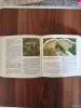 Книги, журналы - Книга. Макромицеты. Для грибников. - Вся Беларусь - Фото 5 Книга. Макромицеты. Для грибников. - Вся Беларусь - 254614 - Доска объявлений Kupika.by - Фото 5