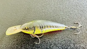 воблеры Rapala + Salmo  + спиннинг  + катушка+ коробка - обмен
