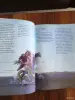 Книги для детей - Книга. Моя первая Библия в картинках. - Вся Беларусь - Фото 3 Книга. Моя первая Библия в картинках. - Вся Беларусь - 254868 - Доска объявлений Kupika.by - Фото 3
