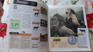 Школьная энциклопедия "Животные".