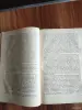 Книги, журналы - Книга. Логика Красоты. - Вся Беларусь - Фото 3 Книга. Логика Красоты. - Вся Беларусь - 254488 - Доска объявлений Kupika.by - Фото 3