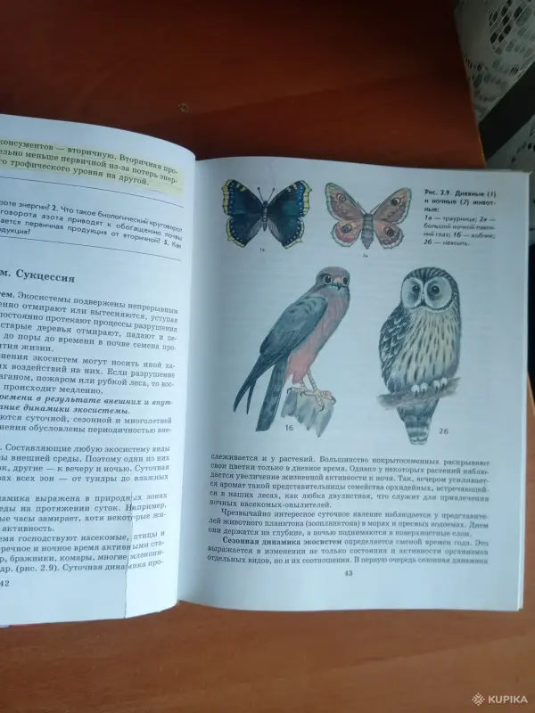 " Общая биология" 11 кл - Вся Беларусь - 255081 - Доска объявлений Kupika.by - Фото 7