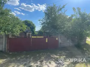 Продам дом с большим участком (клубничный, голубичный край)
