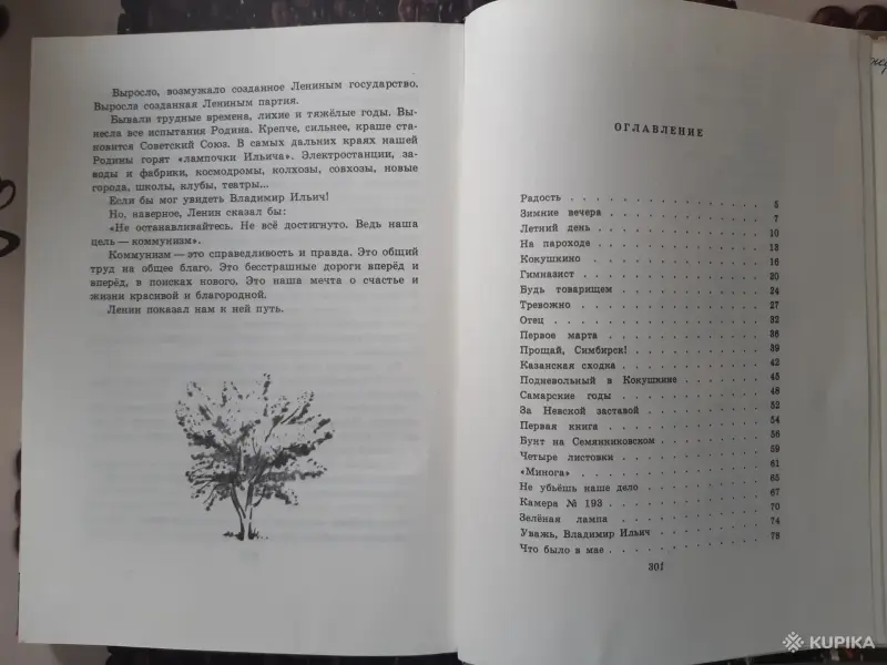 Книги, журналы - М. Прилежаева Жизнь Ленина - Вся Беларусь - Фото 5 М. Прилежаева Жизнь Ленина - Вся Беларусь - 257840 - Доска объявлений Kupika.by - Фото 5