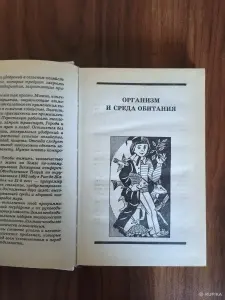 Книга. Я познаю мир.