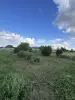 Ровный участок 8 соток в 25км от Минска, 380в на участке, частная собственность - Вся Беларусь - 257497 - Доска объявлений Kupika.by - Фото 14