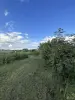 Ровный участок 8 соток в 25км от Минска, 380в на участке, частная собственность - Вся Беларусь - 257497 - Доска объявлений Kupika.by - Фото 12