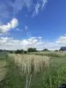 Ровный участок 8 соток в 25км от Минска, 380в на участке, частная собственность - Вся Беларусь - 257497 - Доска объявлений Kupika.by - Фото 10