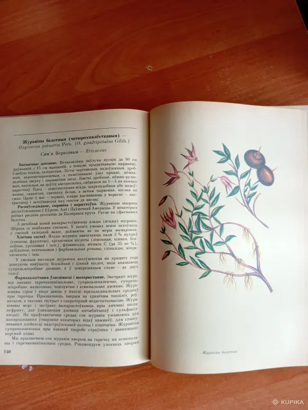 Лекарственные растения. Книга - Вся Беларусь - 254619 - Доска объявлений Kupika.by - Фото 8
