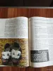 Книги, журналы - Книга. Азбука вязания. - Вся Беларусь - Фото 6 Книга. Азбука вязания. - Вся Беларусь - 254472 - Доска объявлений Kupika.by - Фото 6