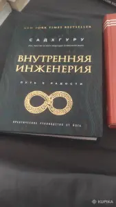 Внутренняя инженерия путь к радости