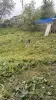 Собаки - Немецкая овчарка - Вся Беларусь - Фото 3 Немецкая овчарка - Вся Беларусь - 255666 - Доска объявлений Kupika.by - Фото 3