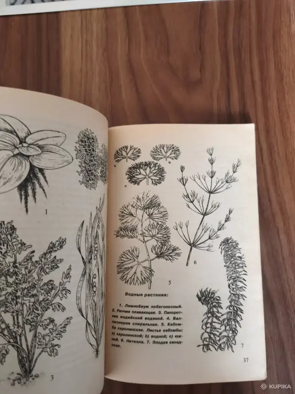 Книги, журналы - Книга. Всё о Гуппи и других живородящих. - Вся Беларусь - Фото 6 Книга. Всё о Гуппи и других живородящих. - Вся Беларусь - 254859 - Доска объявлений Kupika.by - Фото 6