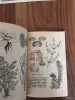 Книги, журналы - Книга. Всё о Гуппи и других живородящих. - Вся Беларусь - Фото 6 Книга. Всё о Гуппи и других живородящих. - Вся Беларусь - 254859 - Доска объявлений Kupika.by - Фото 6
