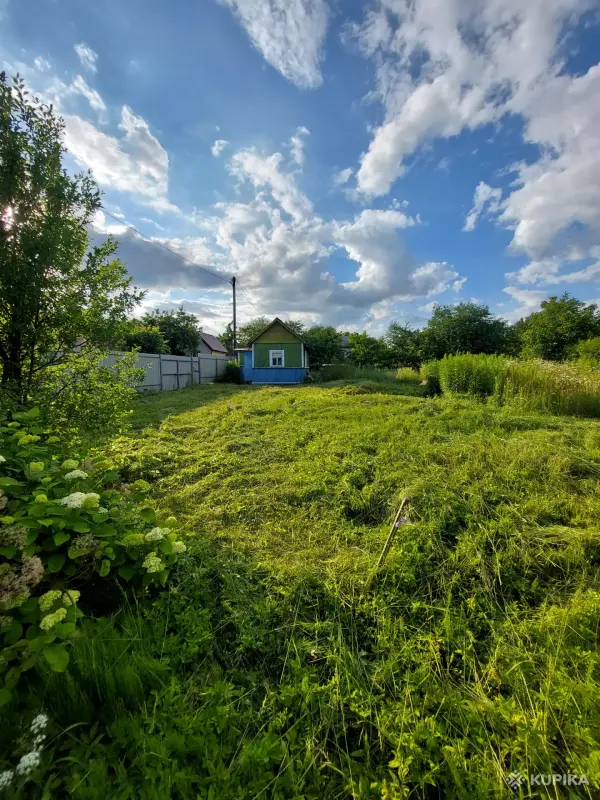 Уход за садом и огородом - Покос травы триммером - Вся Беларусь - Фото 5 Покос травы триммером - Вся Беларусь - 255587 - Доска объявлений Kupika.by - Фото 5