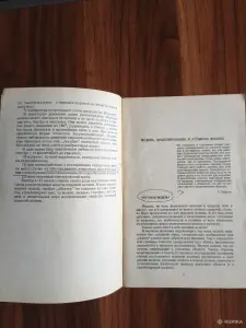 Книга. Шаровая Молния.