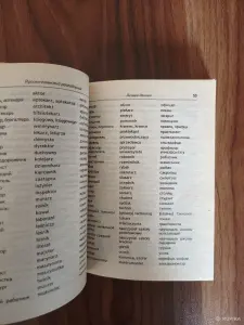 Книги. Словари.
