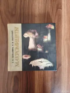 Книга. Макромицеты. Для грибников.