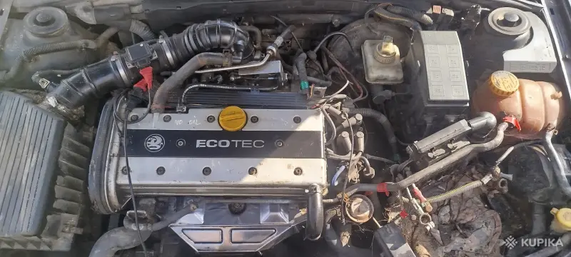 Запчасти Opel Vectra B: блок предохранителей, бачок, патрубки, корпус фильтра