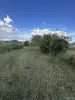 Ровный участок 8 соток в 25км от Минска, 380в на участке, частная собственность - Вся Беларусь - 257497 - Доска объявлений Kupika.by - Фото 7