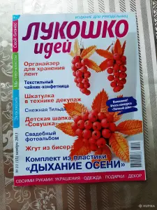 Журналы ''Лукошко идей'' (9 шт.).