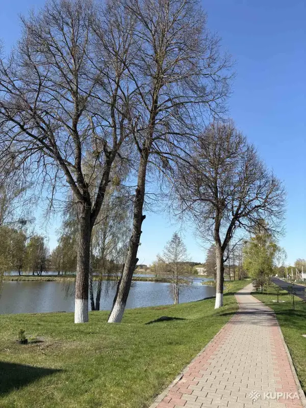 Продажа квартир - Квартира - Вся Беларусь - Фото 2 Квартира - Вся Беларусь - 253452 - Доска объявлений Kupika.by - Фото 2