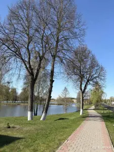 Квартира