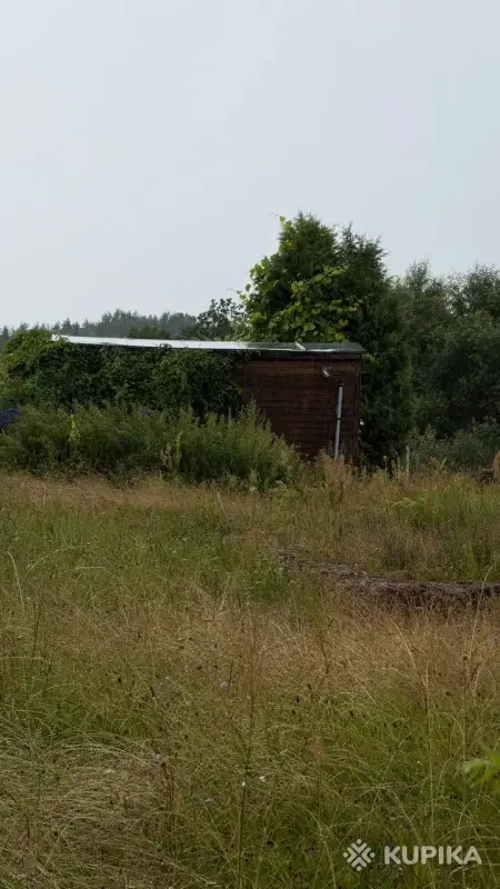 Другие услуги - Требуется покос травы - Вся Беларусь - Фото 2 Требуется покос травы - Вся Беларусь - 254811 - Доска объявлений Kupika.by - Фото 2