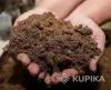 Другие товары для сада и огорода - Торф для голубики. Фрезерный верховой. - Вся Беларусь Торф для голубики. Фрезерный верховой. - Вся Беларусь - 253758 - Доска объявлений Kupika.by