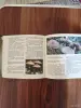 Книги, журналы - Книга. Макромицеты. Для грибников. - Вся Беларусь - Фото 4 Книга. Макромицеты. Для грибников. - Вся Беларусь - 254614 - Доска объявлений Kupika.by - Фото 4