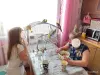 Птицы - Семейство домашних кореллок - Вся Беларусь - Фото 9 Семейство домашних кореллок - Вся Беларусь - 254808 - Доска объявлений Kupika.by - Фото 9