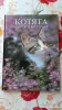 Книги, журналы - Маркус Шнек. "Котята". Фотоиллюстрации. - Вся Беларусь Маркус Шнек. "Котята". Фотоиллюстрации. - Вся Беларусь - 256303 - Доска объявлений Kupika.by