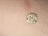 Монеты, речи посполитая - Вся Беларусь - 256428 - Доска объявлений Kupika.by - Фото 3
