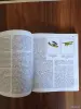 Книга. О самых первых и самых, самых. - Вся Беларусь - 255420 - Доска объявлений Kupika.by - Фото 3
