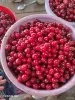 Продукты питания - Вишня - Вся Беларусь Вишня - Вся Беларусь - 255402 - Доска объявлений Kupika.by