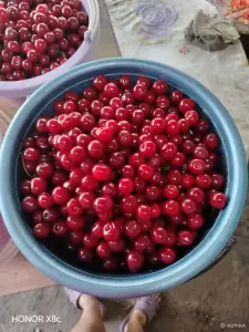 Вишня