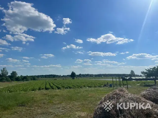Продам дом с большим участком (клубничный, голубичный край) - Вся Беларусь - 255386 - Доска объявлений Kupika.by - Фото 10