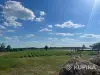 Продам дом с большим участком (клубничный, голубичный край) - Вся Беларусь - 255386 - Доска объявлений Kupika.by - Фото 10