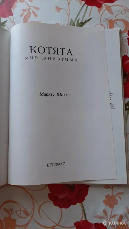 Книги, журналы - Маркус Шнек. "Котята". Фотоиллюстрации. - Вся Беларусь - Фото 2 Маркус Шнек. "Котята". Фотоиллюстрации. - Вся Беларусь - 256303 - Доска объявлений Kupika.by - Фото 2