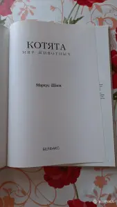 Маркус Шнек. "Котята". Фотоиллюстрации.