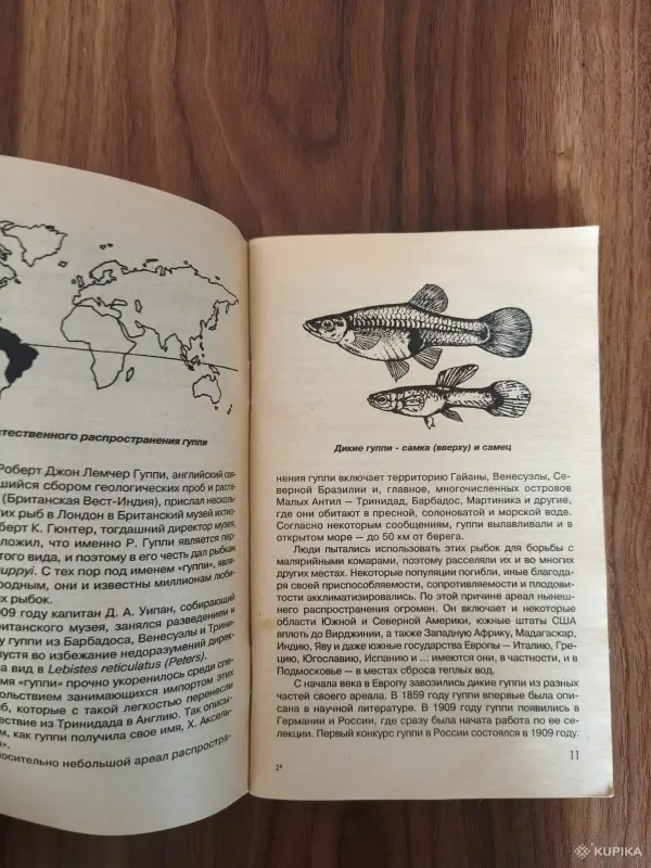 Книги, журналы - Книга. Всё о Гуппи и других живородящих. - Вся Беларусь - Фото 4 Книга. Всё о Гуппи и других живородящих. - Вся Беларусь - 254859 - Доска объявлений Kupika.by - Фото 4