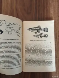 Книга. Всё о Гуппи и других живородящих.