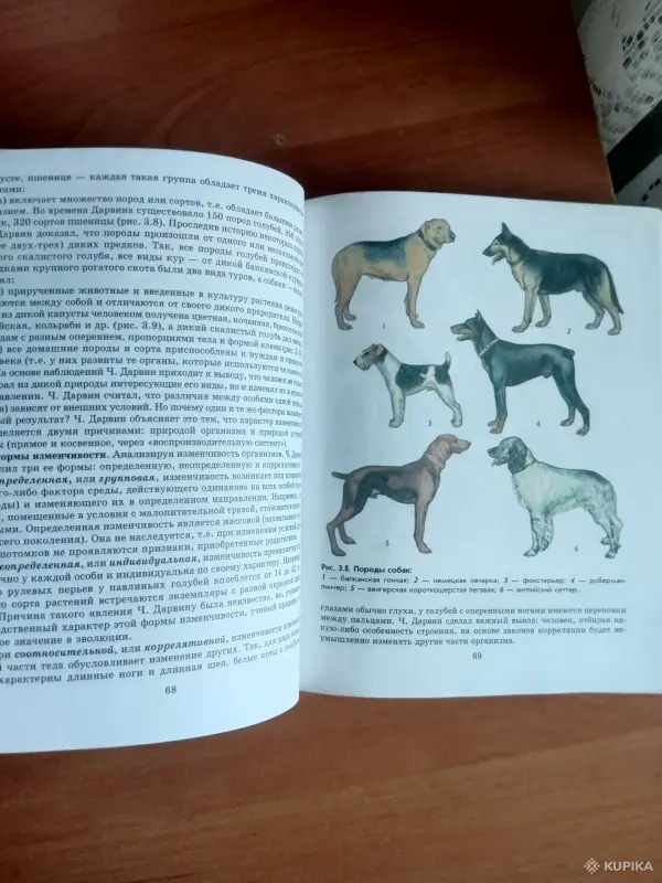 " Общая биология" 11 кл - Вся Беларусь - 255081 - Доска объявлений Kupika.by - Фото 6