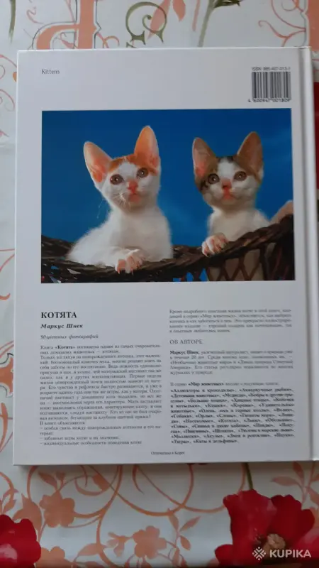 Книги, журналы - Маркус Шнек. "Котята". Фотоиллюстрации. - Вся Беларусь - Фото 9 Маркус Шнек. "Котята". Фотоиллюстрации. - Вся Беларусь - 256303 - Доска объявлений Kupika.by - Фото 9